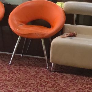 Meet your Posher, Eileen